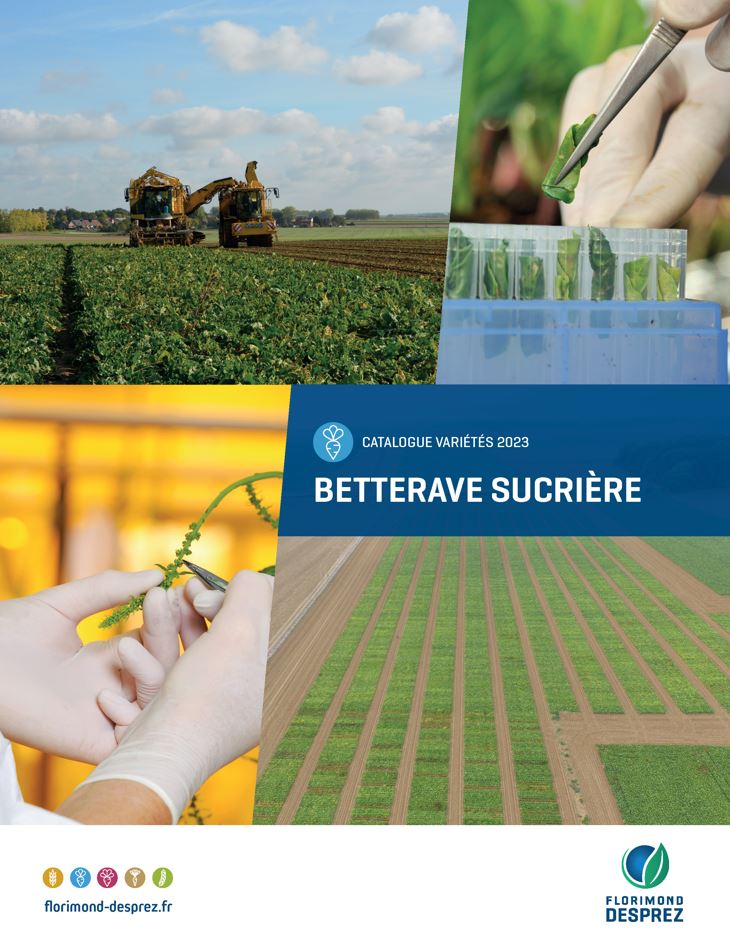 Le nouveau catalogue betterave sucrière est